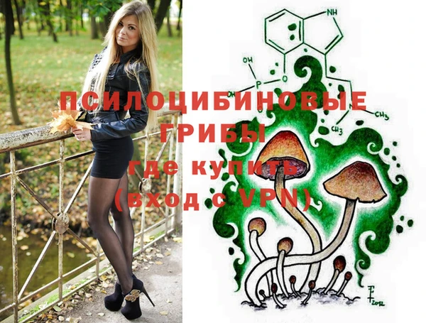 PSILOCYBIN Белокуриха