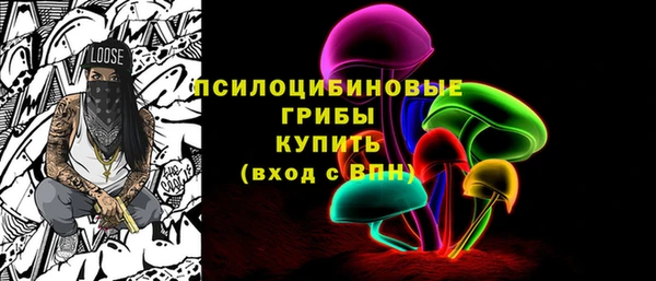 PSILOCYBIN Белокуриха