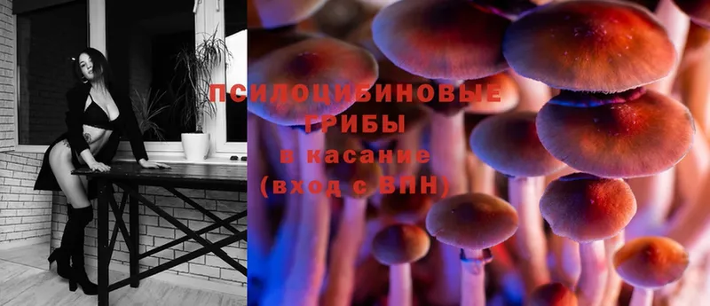 Галлюциногенные грибы Magic Shrooms  что такое наркотик  omg онион  shop клад  Нытва 